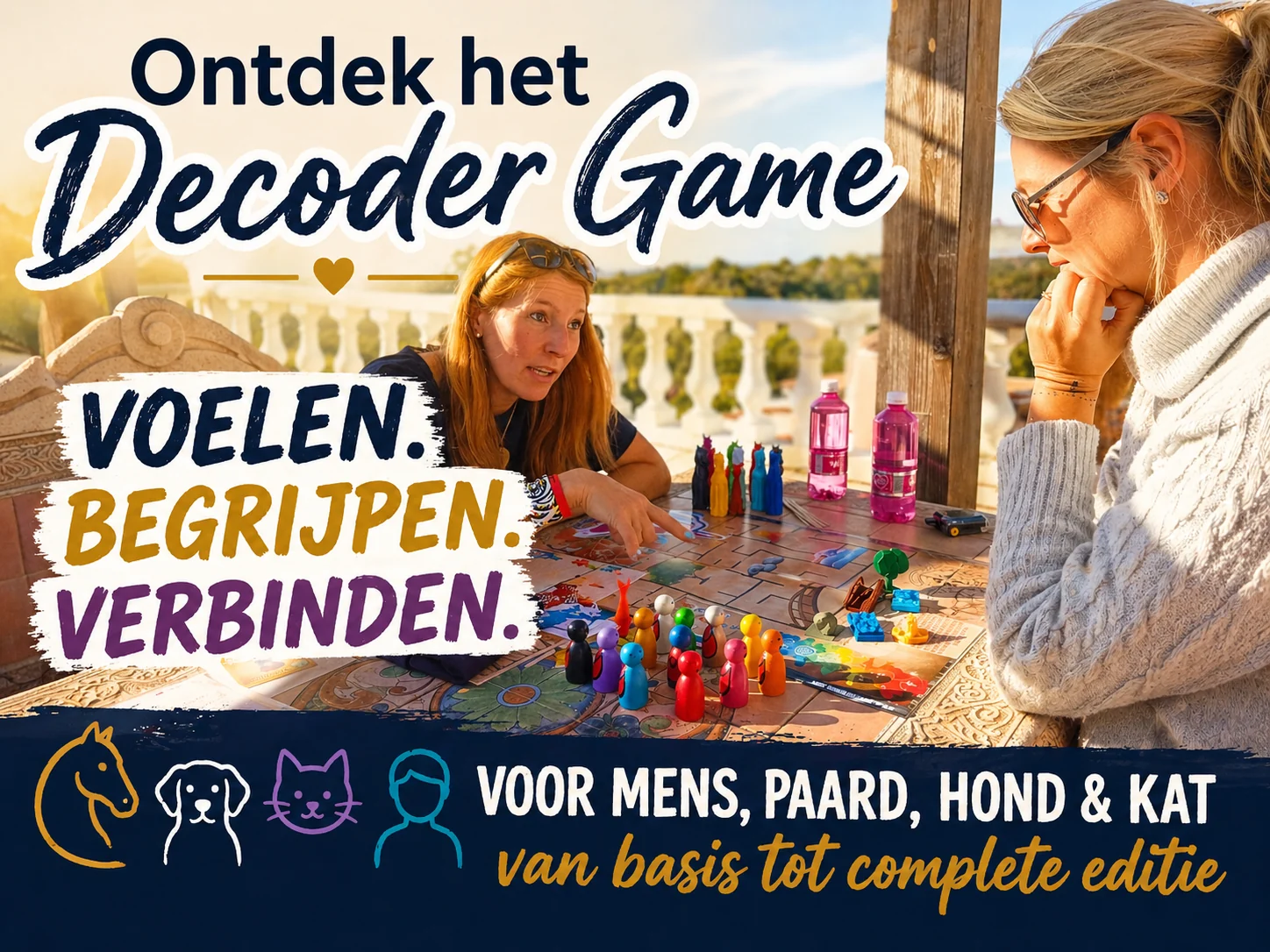 Het Decoder Game opgesteld met figuren en kleuren